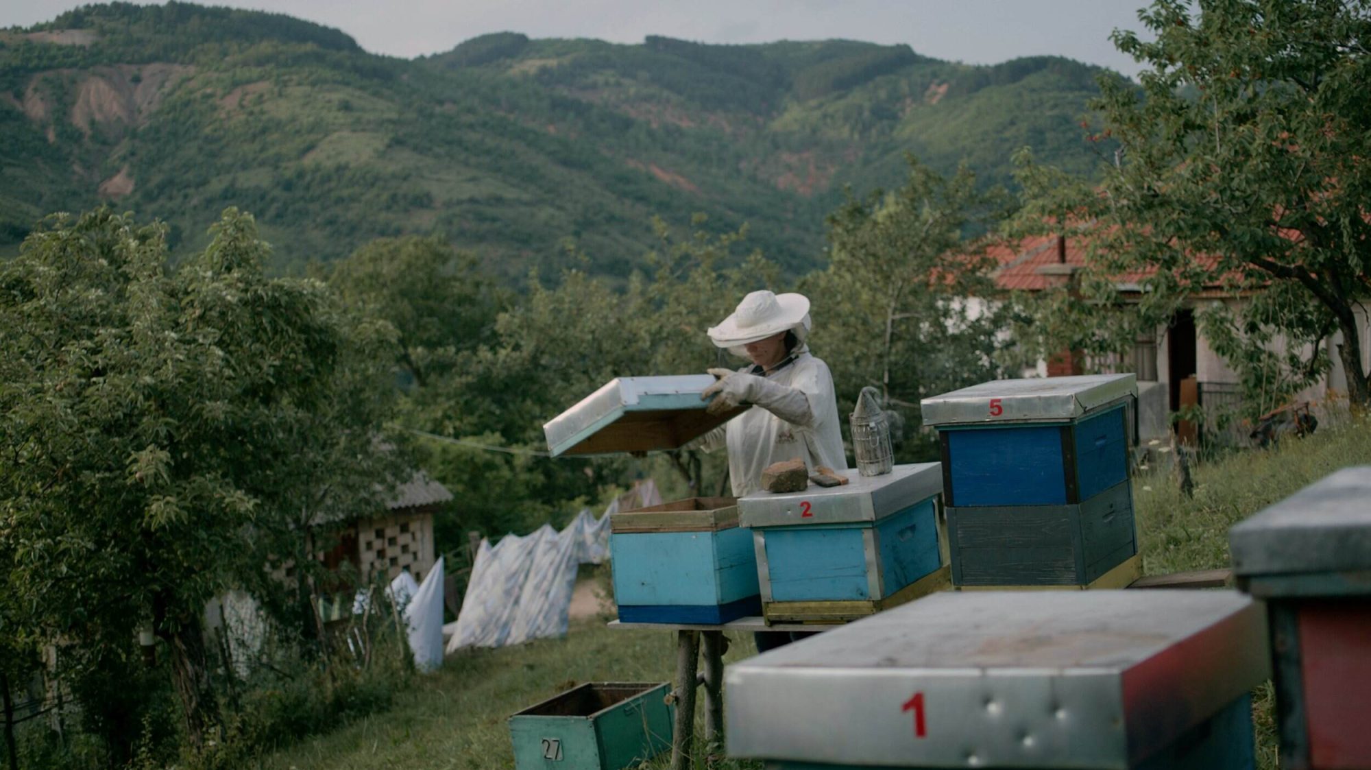 Visuel du film La Montagne de marbre
